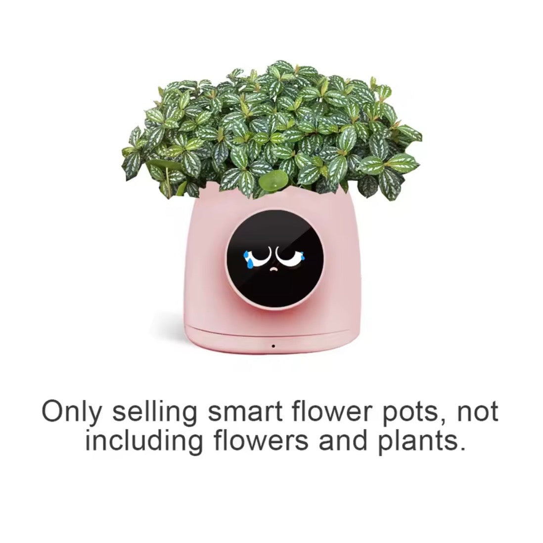 Tuya Smart AI Blumentopf
