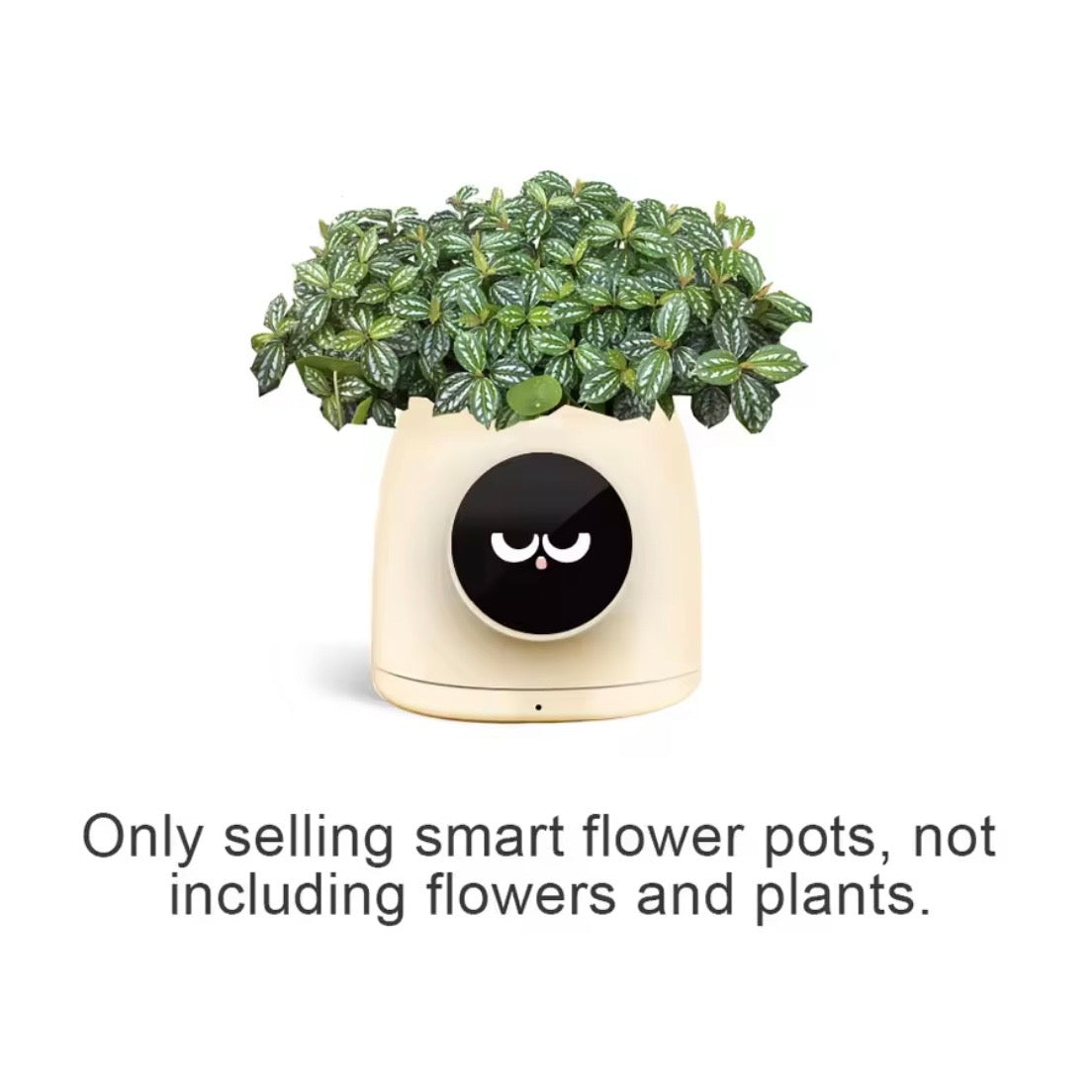 Tuya Smart AI Blumentopf