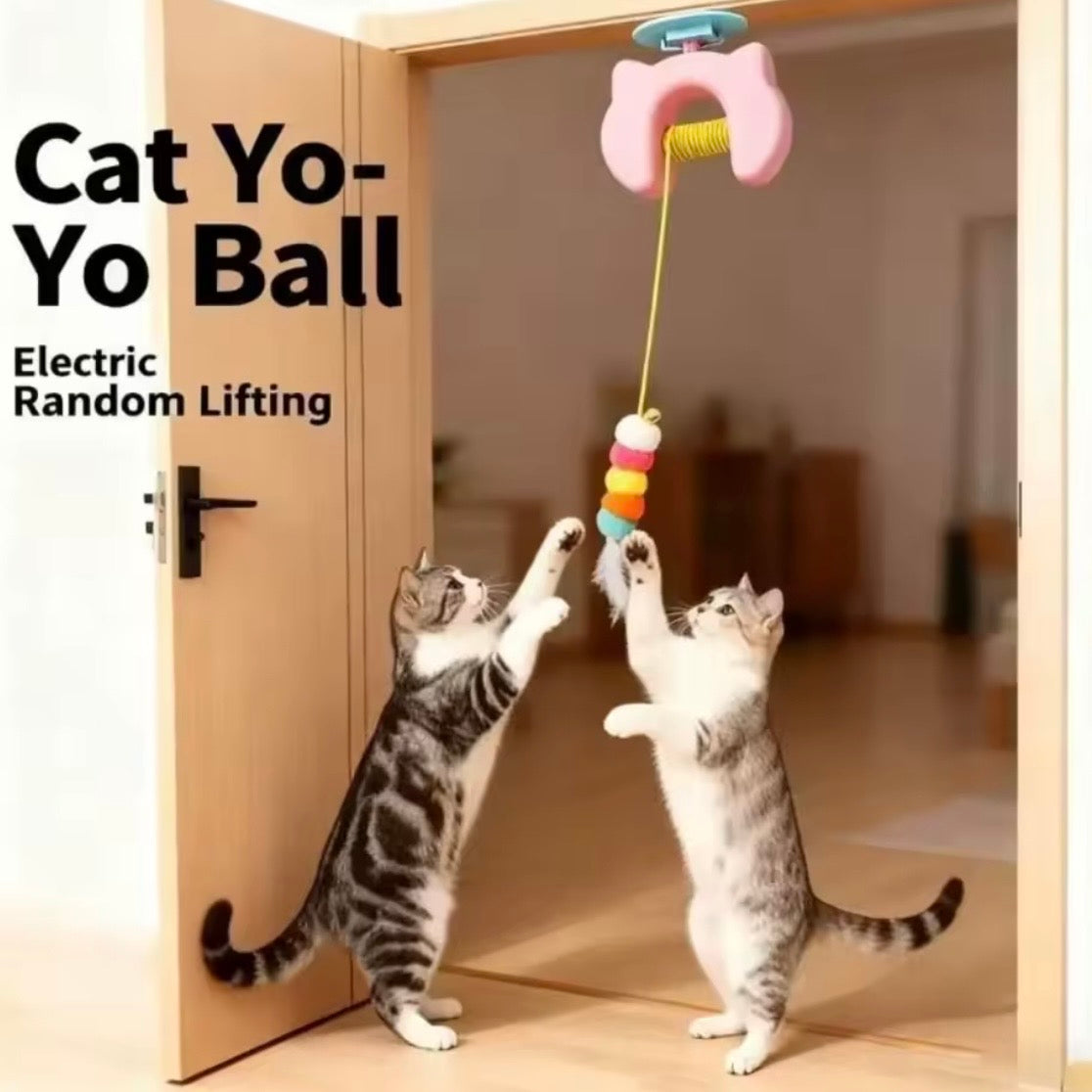Spielzeug für Katzen