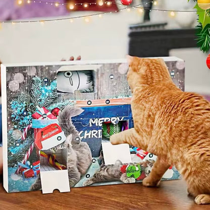 Katzenspielzeug Adventskalender Blau