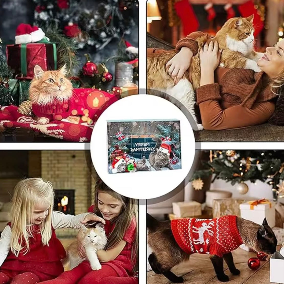 Katzenspielzeug Adventskalender
