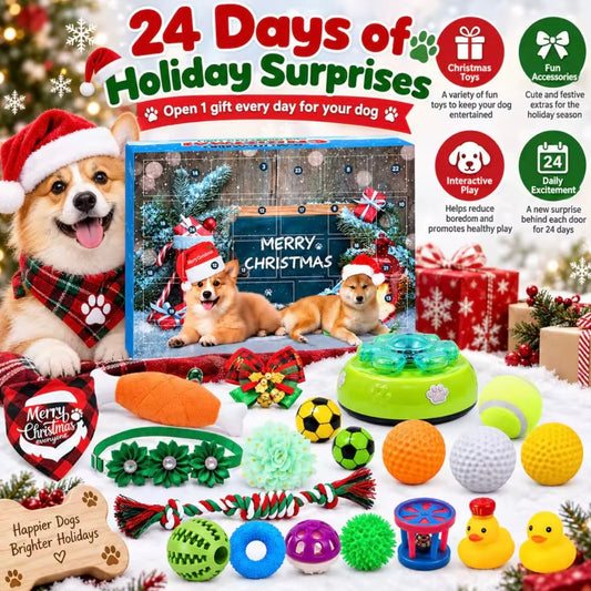 Hundespielzeug Adventskalender